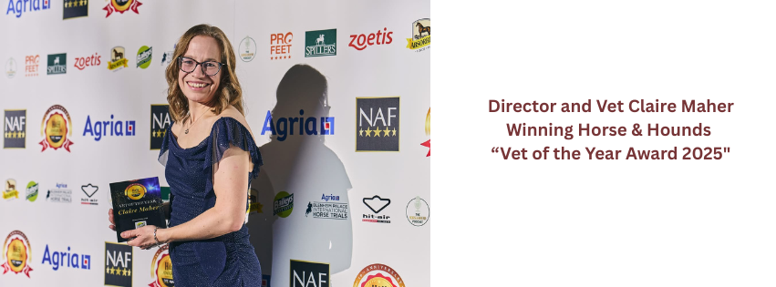 Claire Wins Baileys Horse Feeds Vet Of The Year Award